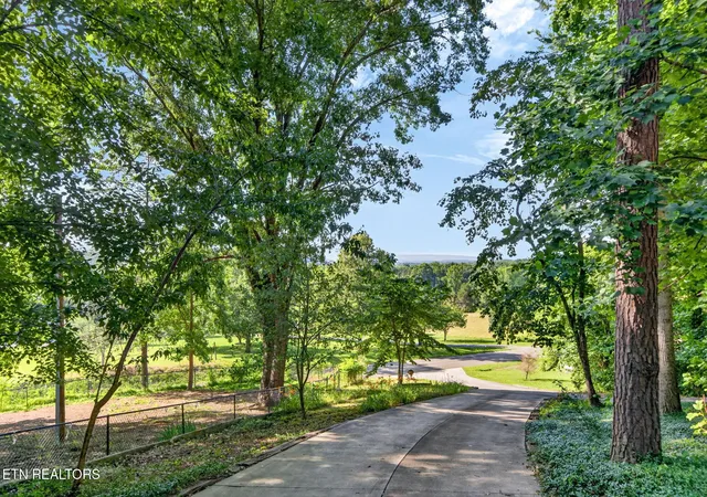 52nd image of 511 Lower River Rd, Decatur, TN 37322 | MLS# 1343511