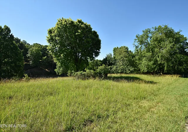 Homes for sale in Dandridge, TN | Lot 19 Cypress Dr, Dandridge, TN 37725 | MLS# 1343591