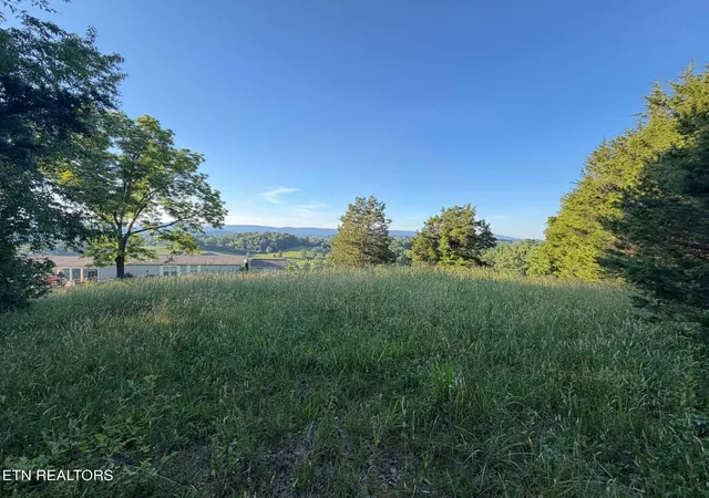 Homes for sale in Tazewell, TN | Hill Crest Dr, Tazewell, TN 37879 | MLS# 1343570