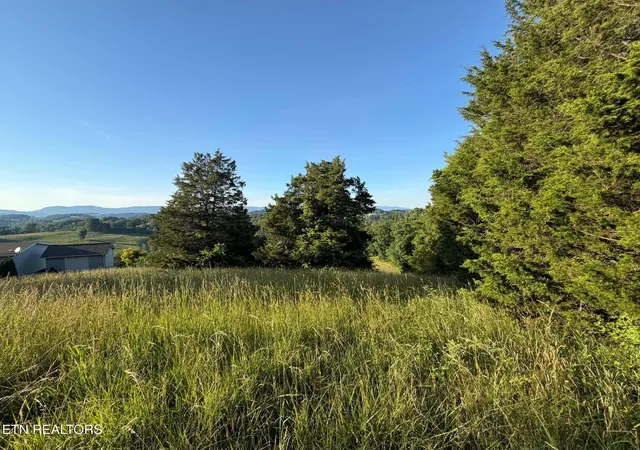 Homes for sale in Tazewell, TN | Hill Crest Dr, Tazewell, TN 37879 | MLS# 1343570