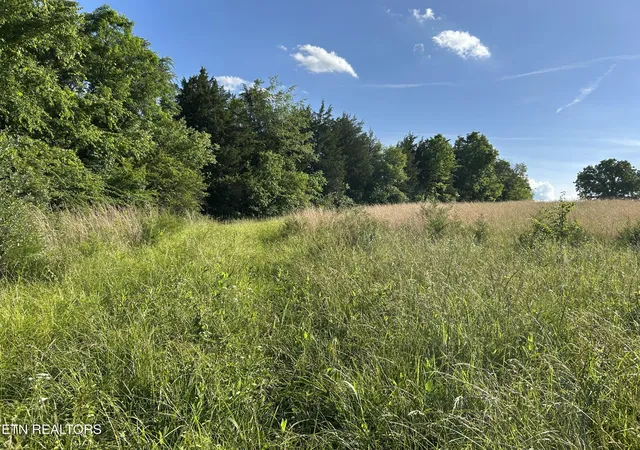 Homes for sale in Rogersville, TN | 0 Old Tennessee 70 Rd, Rogersville, TN 37857 | MLS# 1343646