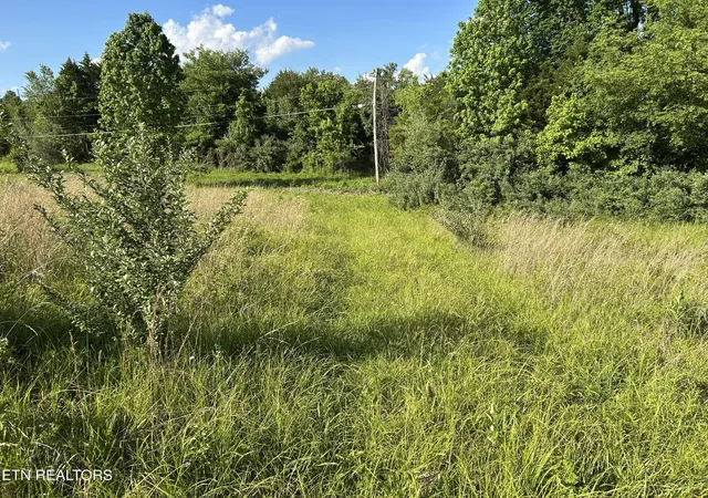 Homes for sale in Rogersville, TN | 0 Old Tennessee 70 Rd, Rogersville, TN 37857 | MLS# 1343646