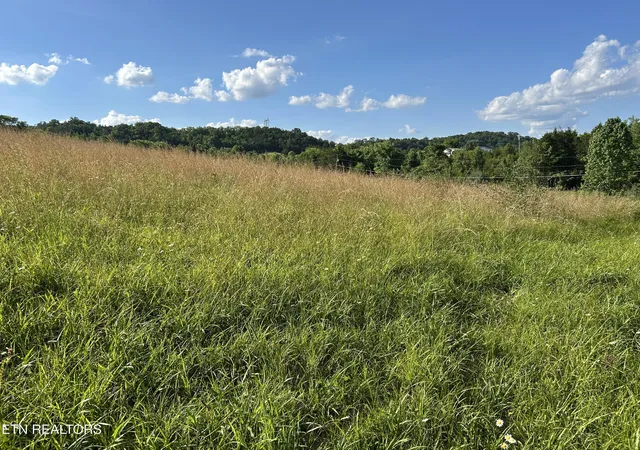 Homes for sale in Rogersville, TN | 0 Old Tennessee 70 Rd, Rogersville, TN 37857 | MLS# 1343646