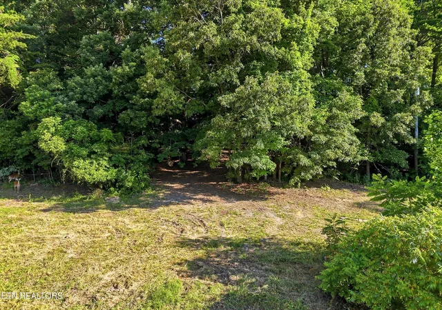 Photo 3 of Sale Pending at 0 Daniels Rd #4, Knoxville, TN 37938 | MLS# 1343996 | Listing updated on 2026-08-31