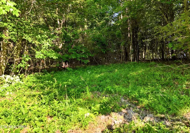 Photo 3 of Sale Pending at 0 Daniels Rd #4, Knoxville, TN 37938 | MLS# 1343996 | Listing updated on 2026-08-31