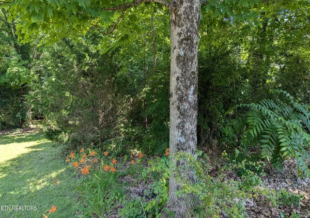 3rd image of Cedar Ln, Knoxville, TN 37918 | MLS# 1343626