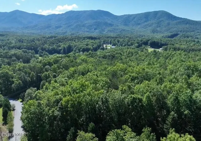 16th image of 0 Coker Creek Trail Ln, Coker Creek, TN 37314 | MLS# 1343657