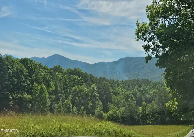 2nd image of 0 Coker Creek Trail Ln, Coker Creek, TN 37314 | MLS# 1343657