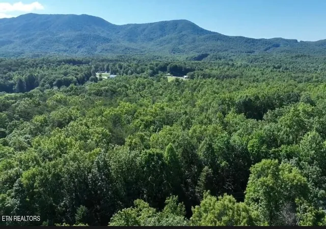 3rd image of 0 Coker Creek Trail Ln, Coker Creek, TN 37314 | MLS# 1343657