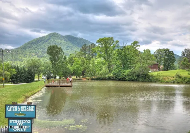 47th image of 210 Meghans Wy, Townsend, TN 37882 | MLS# 1344004