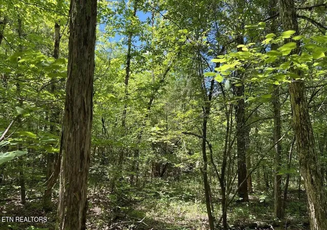 Photo 2 of Land for sale at 158 Eagle Ridge Rd, Kingston, TN 37763 | MLS# 1345298 | Listing updated on 2026-06-22