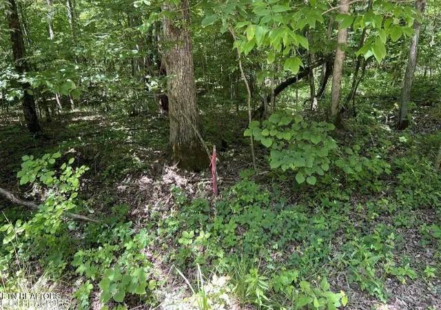 Photo 3 of Land for sale at 158 Eagle Ridge Rd, Kingston, TN 37763 | MLS# 1345298 | Listing updated on 2026-06-22