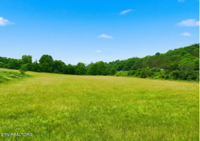 Homes for sale in Dryden, VA | 186 Blair Rd, Dryden, VA 24243 | MLS# 1343740