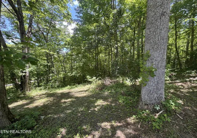 Homes for sale in Huntsville, TN | 520 W Hills Dr, Huntsville, TN 37756 | MLS# 1343820