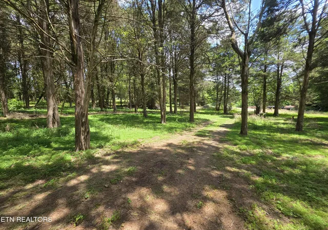Homes for sale in Corryton, TN | 8050 Lett Rd, Corryton, TN 37721 | MLS# 1343831