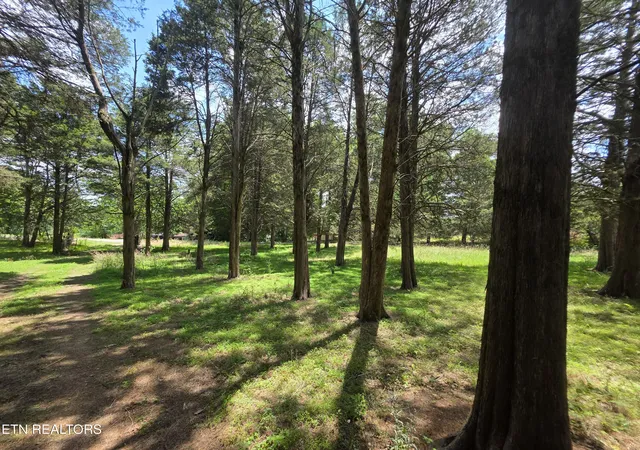 Homes for sale in Corryton, TN | 8050 Lett Rd, Corryton, TN 37721 | MLS# 1343831