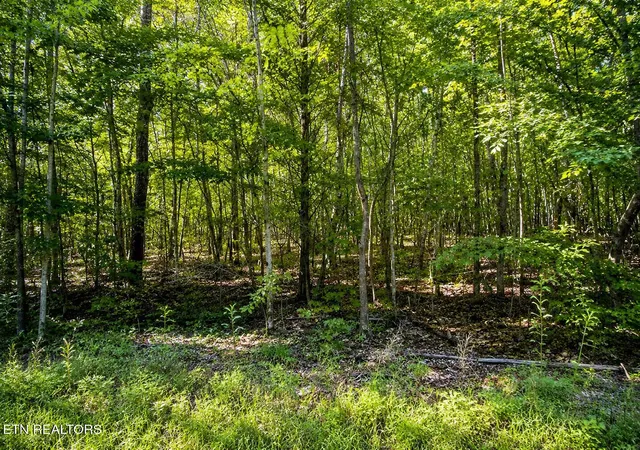 1st image of Lot 5 Keylon Hollow Road, Ten Mile, TN 37880 | MLS# 1343840