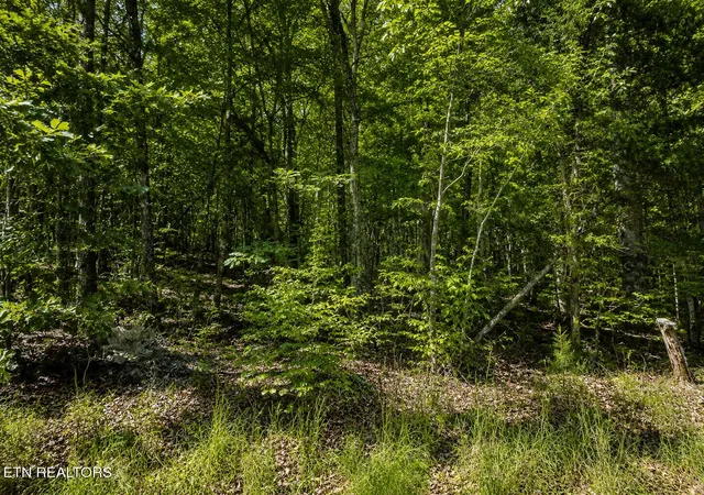 2nd image of Lot 5 Keylon Hollow Road, Ten Mile, TN 37880 | MLS# 1343840