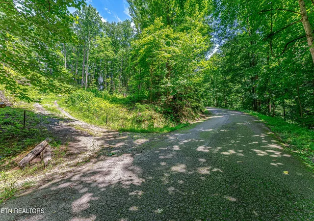 2nd image of 229 Sonshine Ridge Rd, Cosby, TN 37722 | MLS# 1343881