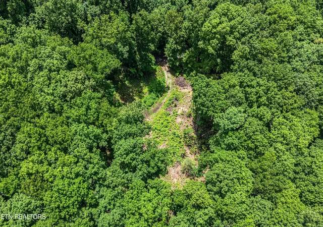 4th image of 229 Sonshine Ridge Rd, Cosby, TN 37722 | MLS# 1343881