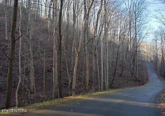 5th image of 229 Sonshine Ridge Rd, Cosby, TN 37722 | MLS# 1343881