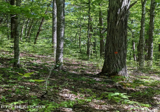 1st image of Cherokee Path, Jamestown, TN 38556 | MLS# 1345412