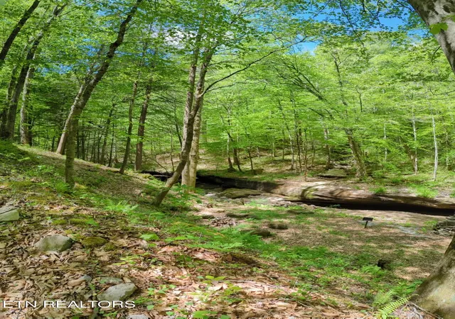 2nd image of Cherokee Path, Jamestown, TN 38556 | MLS# 1345412