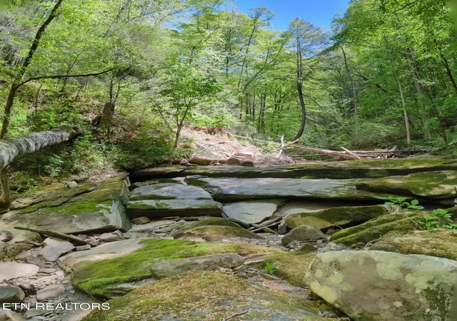 3rd image of Cherokee Path, Jamestown, TN 38556 | MLS# 1345412