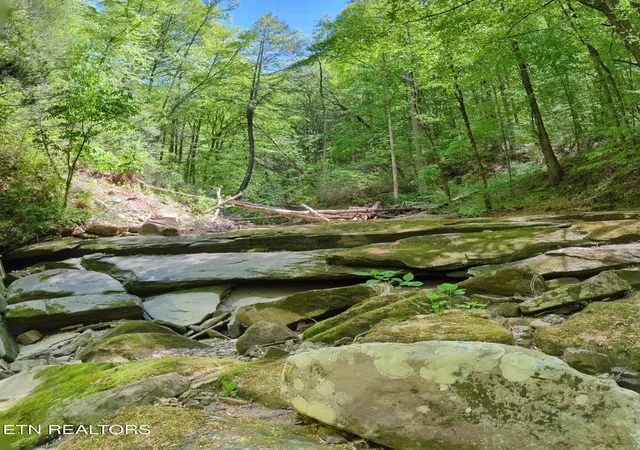 4th image of Cherokee Path, Jamestown, TN 38556 | MLS# 1345412