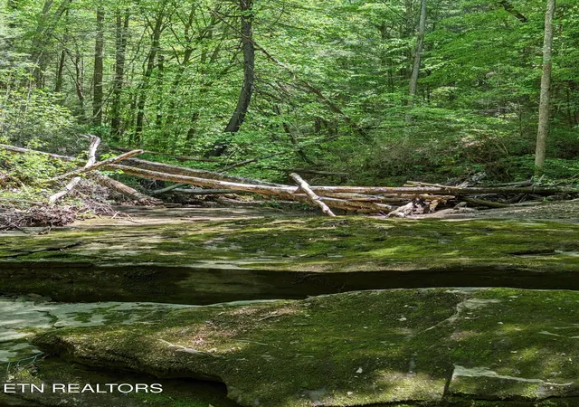 5th image of Cherokee Path, Jamestown, TN 38556 | MLS# 1345412