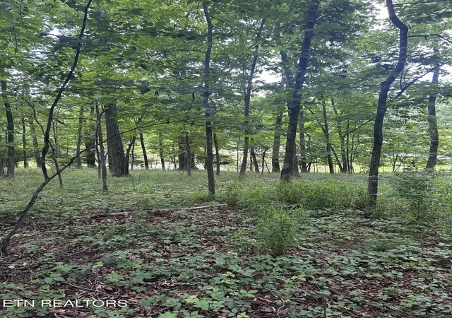 Photo 3 of Land for sale at 26 Rolling Green Ct, Crossville, TN 38558 | MLS# 1343874 | Listing updated on 2026-06-08