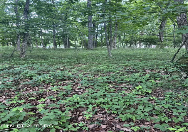 Photo 3 of Land for sale at 26 Rolling Green Ct, Crossville, TN 38558 | MLS# 1343874 | Listing updated on 2026-06-08