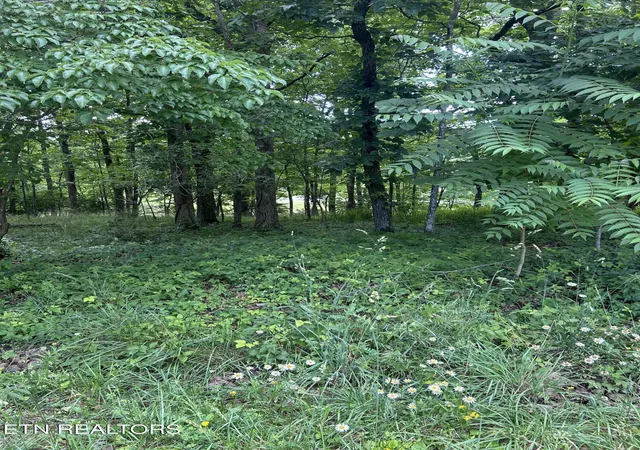 Photo 4 of Land for sale at 26 Rolling Green Ct, Crossville, TN 38558 | MLS# 1343874 | Listing updated on 2026-06-08