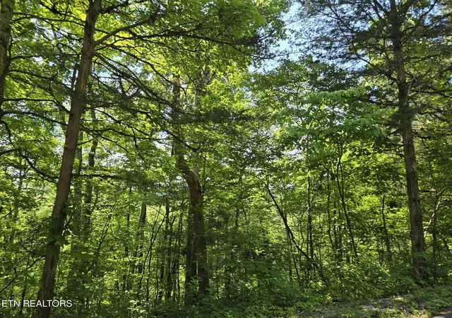 Homes for sale in Washburn, TN | Log Mountain Rd, Washburn, TN 37888 | MLS# 1343902