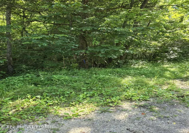 Homes for sale in Washburn, TN | Log Mountain Rd, Washburn, TN 37888 | MLS# 1343902