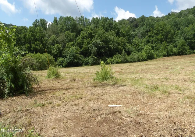 Homes for sale in Celina, TN | 56 Ac Lonnie Reecer Rd, Celina, TN 38551 | MLS# 1343908