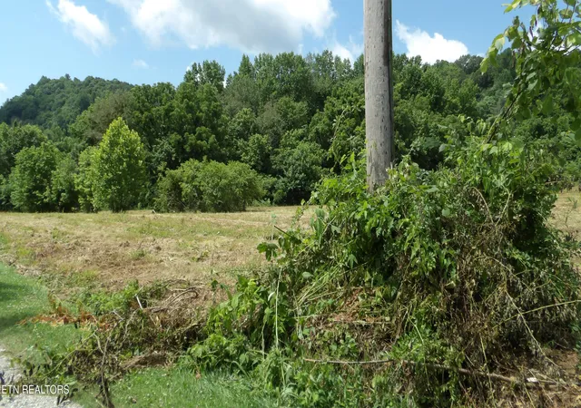 Homes for sale in Celina, TN | 56 Ac Lonnie Reecer Rd, Celina, TN 38551 | MLS# 1343908
