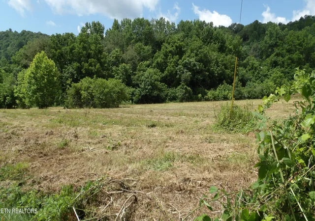 Homes for sale in Celina, TN | 56 Ac Lonnie Reecer Rd, Celina, TN 38551 | MLS# 1343908