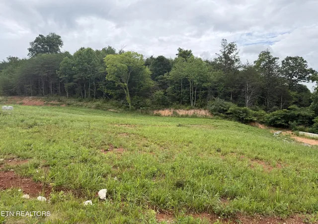 Homes for sale in Tellico Plains, TN | Bear Ln, Tellico Plains, TN 37385 | MLS# 1347137
