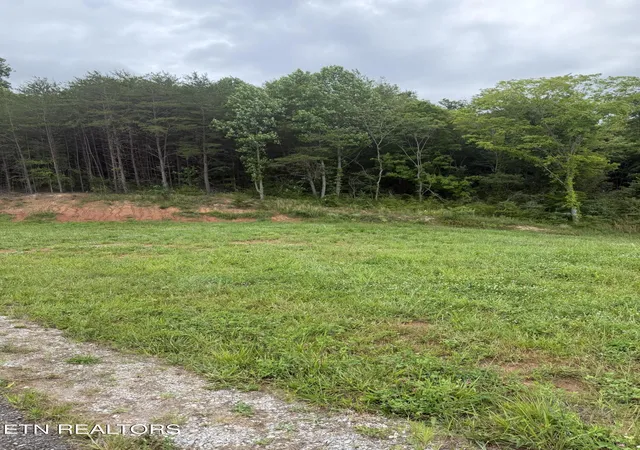 Homes for sale in Tellico Plains, TN | Bear Ln, Tellico Plains, TN 37385 | MLS# 1347137
