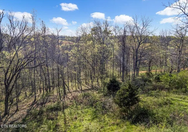 Photo 2 of Land for sale at 1624 Bartlett Holw Rd #2, Petersburg, TN 37144 | MLS# 1344000 | Listing updated on 2026-07-03