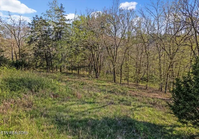Photo 3 of Land for sale at 1624 Bartlett Holw Rd #2, Petersburg, TN 37144 | MLS# 1344000 | Listing updated on 2026-07-03