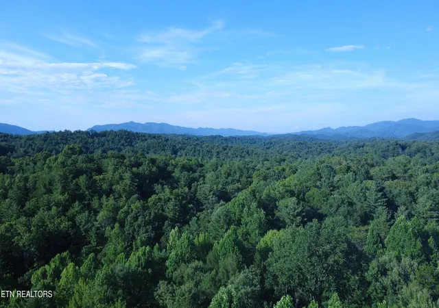 Homes for sale in Vonore, TN | 2240 Mt Pleasant Rd, Vonore, TN 37885 | MLS# 1344036