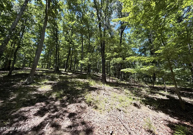 Homes for sale in Mooresburg, TN | Harbor Vw #214, Mooresburg, TN 37811 | MLS# 1343981