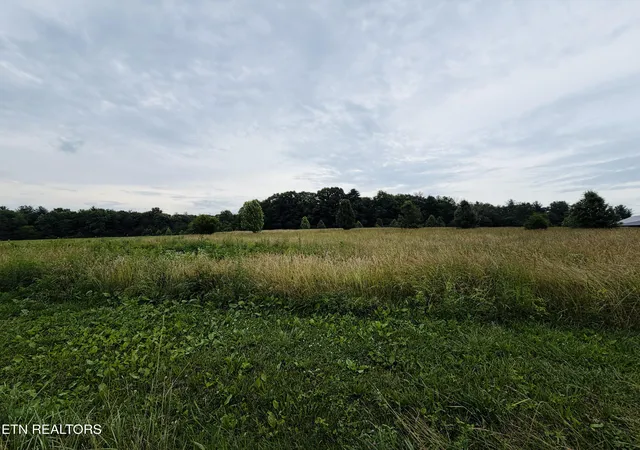 Homes for sale in Jamestown, TN | 98 Acres Tyler Tr, Jamestown, TN 38556 | MLS# 1344055