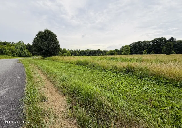 Homes for sale in Jamestown, TN | 98 Acres Tyler Tr, Jamestown, TN 38556 | MLS# 1344055