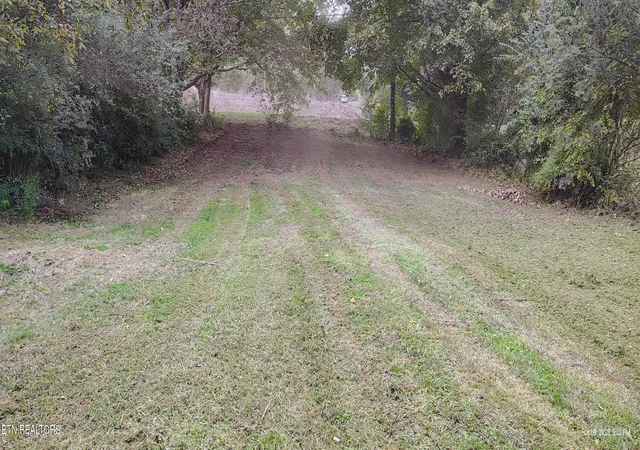Photo 3 of Single family home for sale at 206 County Rd 738, Riceville, TN 37370 | MLS# 1344038 | Listing updated on 2026-08-04