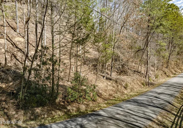 Homes for sale in Cosby, TN | 274 Cove Hollow Rd, Cosby, TN 37722 | MLS# 1344333