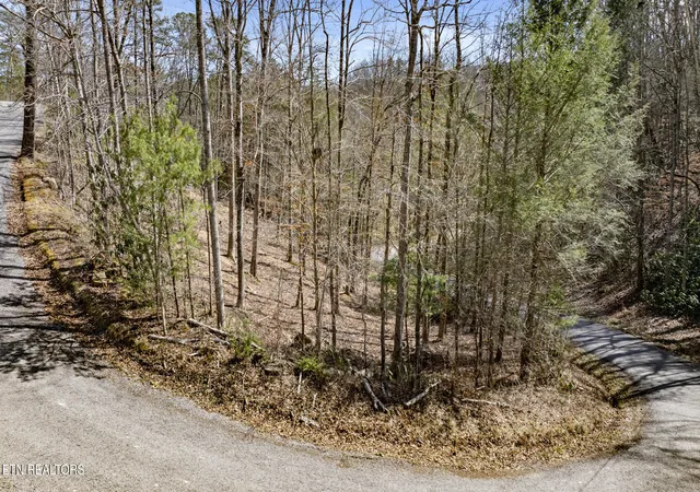 Photo 3 of Land for sale at 274 Cove Holw Rd, Cosby, TN 37722 | MLS# 1344333 | Listing updated on 2026-09-14