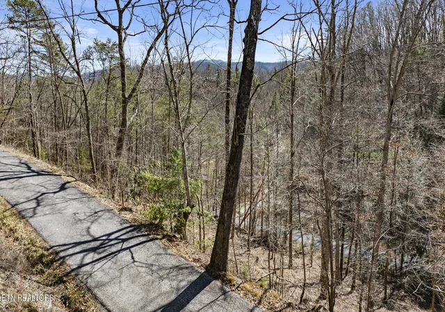 Photo 3 of Land for sale at 274 Cove Holw Rd, Cosby, TN 37722 | MLS# 1344333 | Listing updated on 2026-09-14